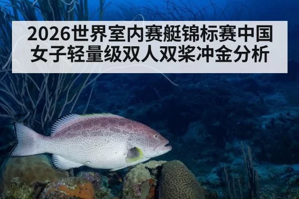 2026世界室内赛艇锦标赛中国女子轻量级双人双桨冲金分析
